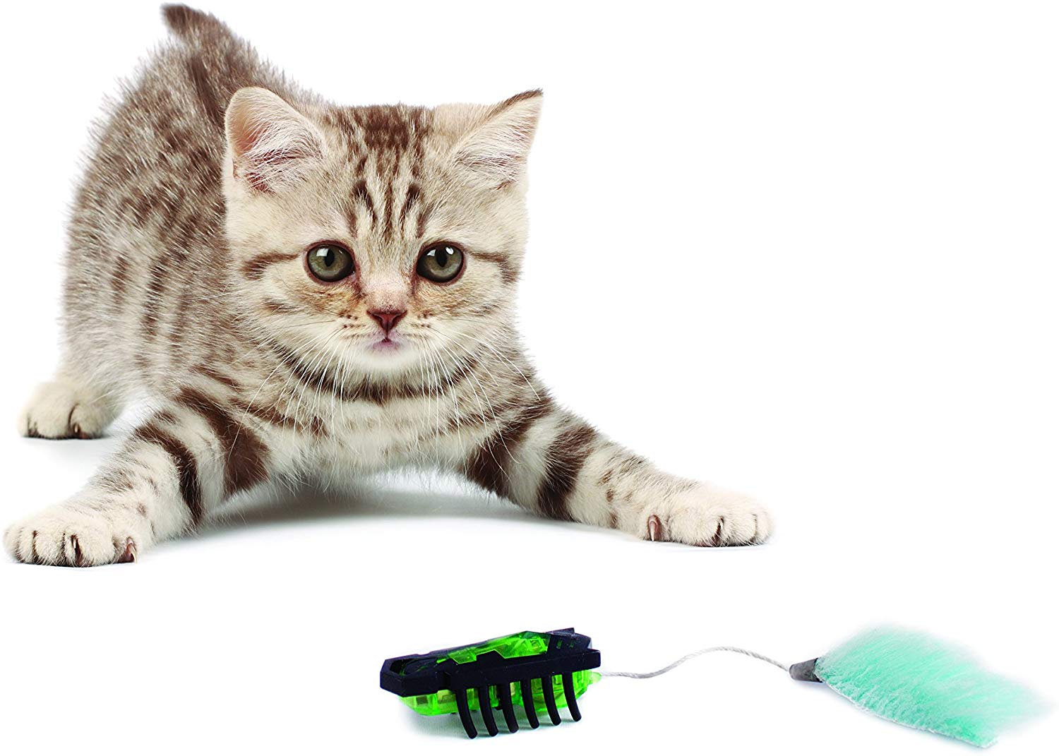 3 Top Robot Toy For Cats To Keep Them Entertained For a Long time