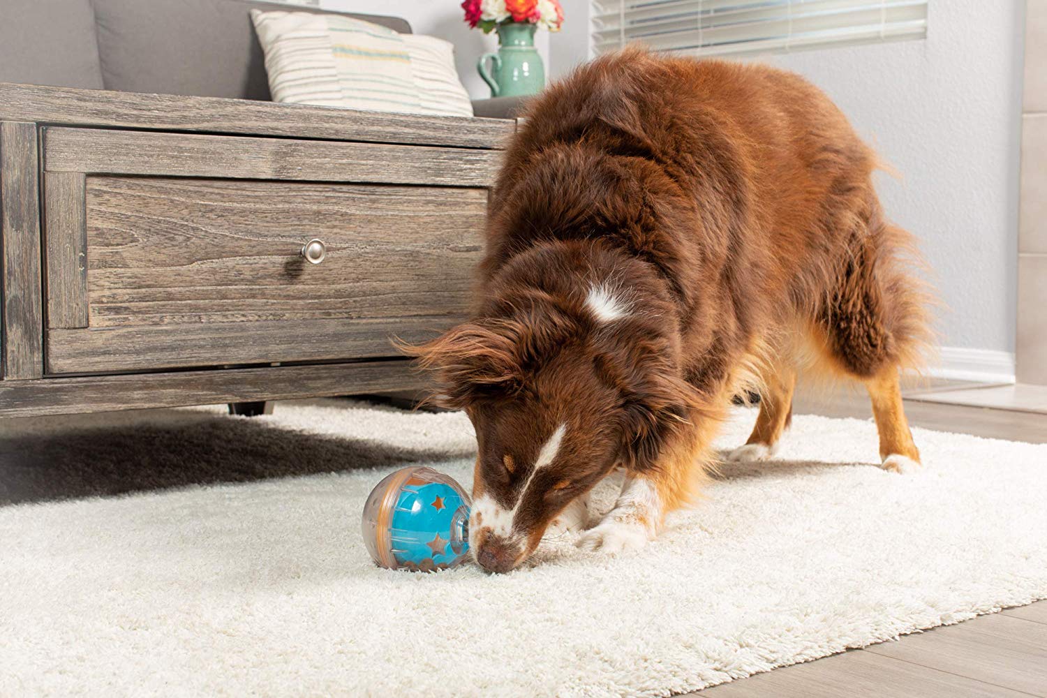 Top 3 Robot For Dogs
