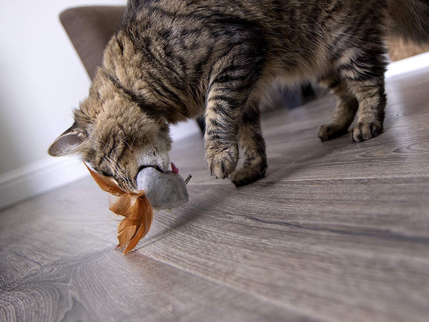 4 more Robot Toy for Cats (2020)
